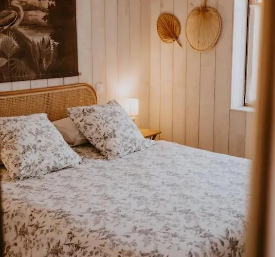 Villa Cocotte Classee 4 Etoiles A 150 M De La 4 *