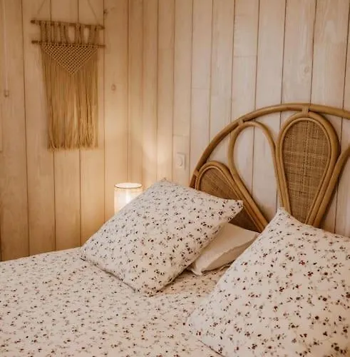 Cocotte Classee 4 Etoiles A 150 M De La 4