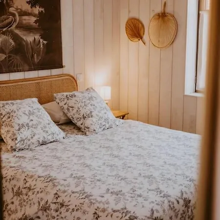 Villa Cocotte Classee 4 Etoiles A 150 M De La 4 *
